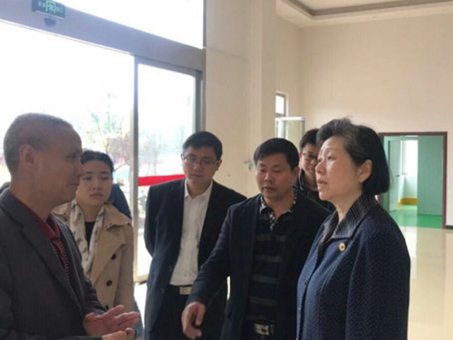 省政協(xié)副主席袁新華一行蒞臨公司考察并指導工作